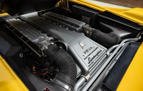 Lamborghini, V12, Diablo, engine, Lamborghini Diablo VT Roadster