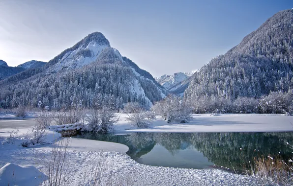 Картинка лед, зима, лес, небо, снег, деревья, горы, озеро