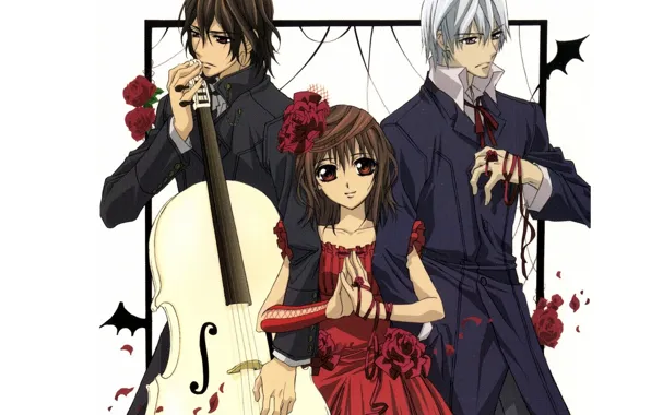 Картинка виолончель, красное платье, art, kuran kaname, vampire knight, yuuki cross, рыцарь-вампир, цветок в волосах
