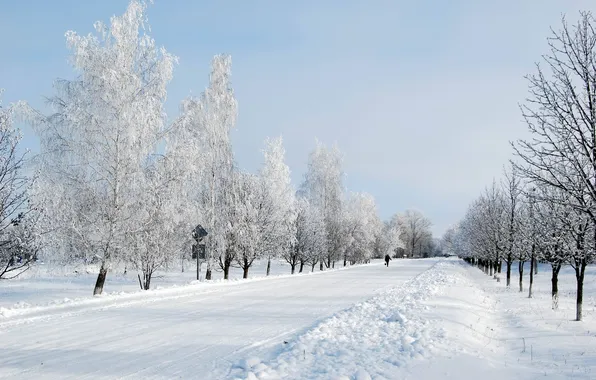 Картинка дорога, снег, деревья, иний, Зима