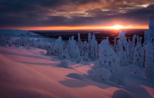 Картинка зима, лес, снег, деревья, закат, сугробы, Финляндия