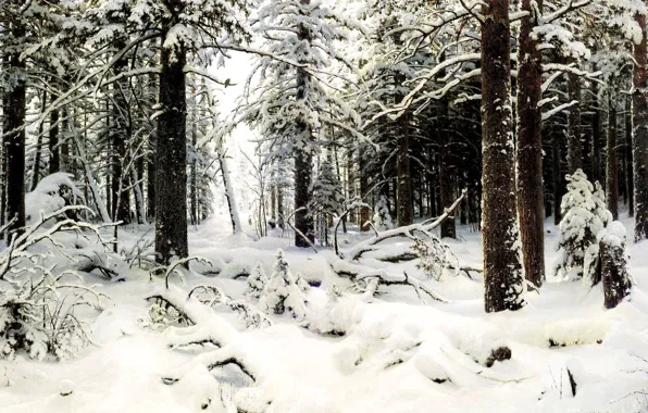 Картинка холод, лес, снег, деревья, Зима, картина, живопись, Шишкин