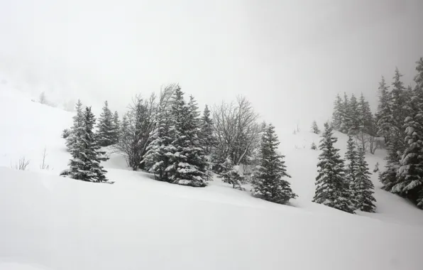 Зима, Снег, Мороз, Winter, Frost, Snow, Trees, Сугробы