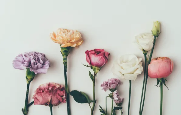 Цветы, фон, розы, colorful, vintage, pink, flowers, background