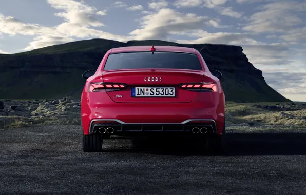 Audi, TDI, вид сзади, Coupe, Audi S5, 2020