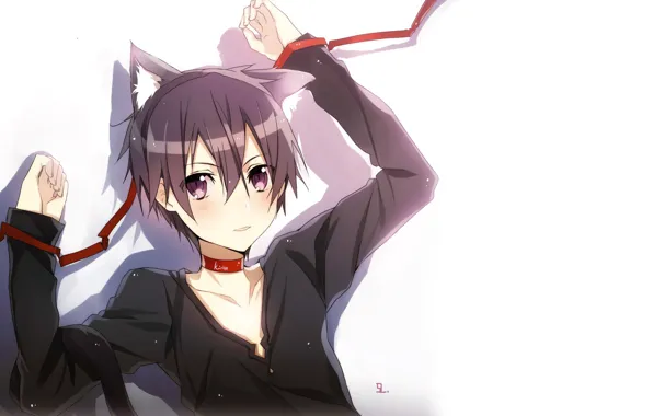 Кот, аниме, арт, парень, Мастера меча онлайн, Sword Art Online, Кирито