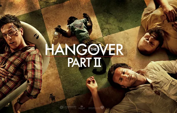 Обои Обезьяна, Брэдли Купер, The Hangover Part 2, Zach.