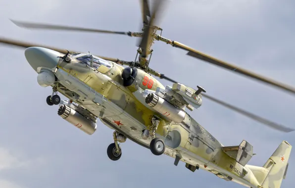 Картинка ВКС России, Ка-52 Аллигатор, Ka-52, разведывательно-ударный вертолёт