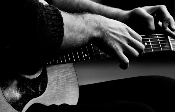 Guitar, fingers, musician