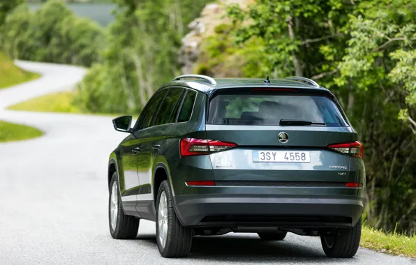 Дорога, SUV, Škoda, корма, Skoda, 2016, Kodiaq