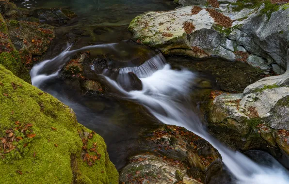 Осень, природа, камни, течение, листва, водопад, поток, водоем
