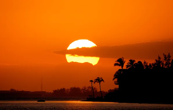 Картинка море, солнце, закат, тучи, пальмы