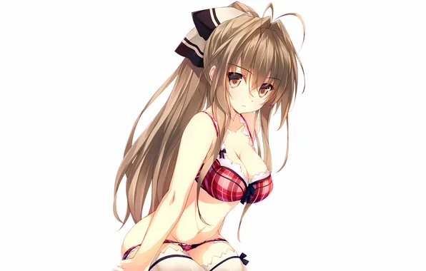 Girl, sexy, lingerie, pantsu, bra, cleavage, panties, thighhighs