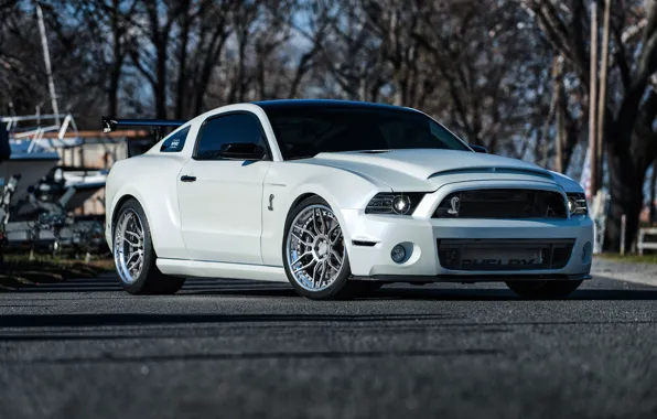 GT500, Wheels, FORD, Niche, VELLA, SHELBY