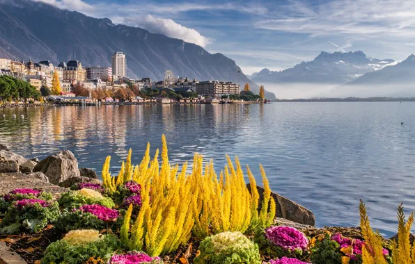 Картинка море, цветы, горы, природа, Швейцария, Montreux