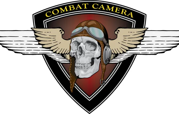 Череп, логотип, эмблема, Combat Camera
