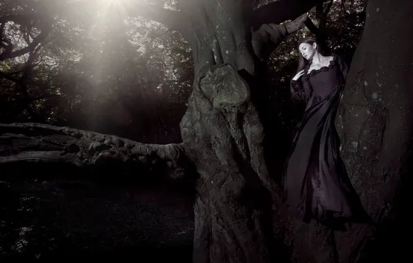 Tree, Wallpaper, Woman, Black Dress, Sun &ampamp; Shade
