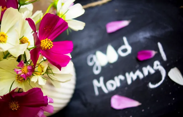 Love, nature, flowers, petals, bouquet