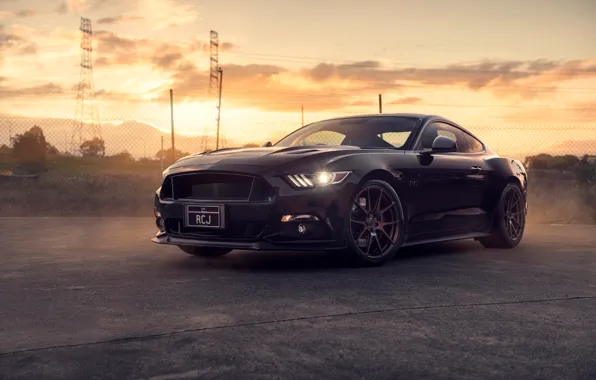 Mustang, Ford, Muscle, Car, Front, Black