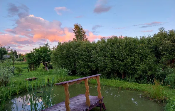 Картинка небо, пейзаж, природа, пруд, деревня, Новгородская область