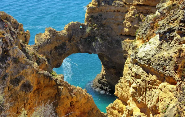 Wallpaper, sea, nature