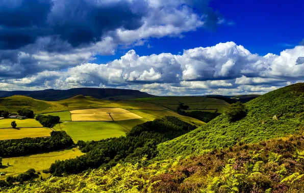 Картинка зелень, трава, облака, деревья, поля, Великобритания, Ladybower