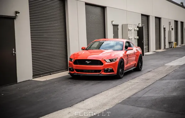 Mustang, Ford