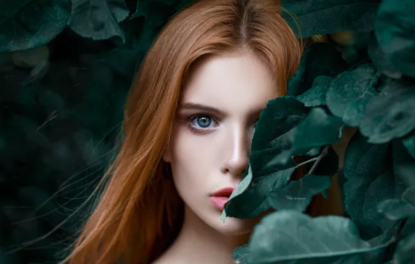 Картинка взгляд, листья, девушка, лицо, глаз, волосы, портрет, Максим Романов