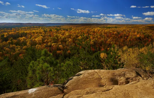Осень, деревья, пейзаж, природа
