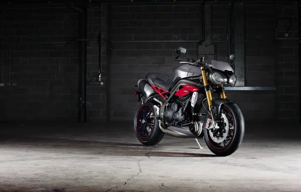 Гараж, мотоцикл, Triumph, 2016, speed triple r