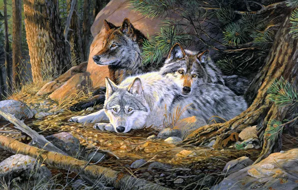 Лес, взгляд, ветки, рисунок, картина, арт, три, волки