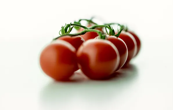 Red, bokeh, tomatoes, vegetable, freshness, healthy food, healthy eating, cherry tomatoes