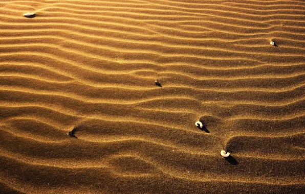 Песок, ракушки