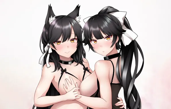 Sexy, lingerie, bra, bodysuit, long hair, girls, boobs, animal ears