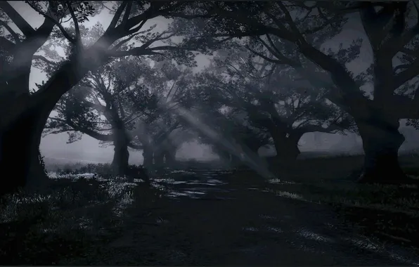 HDR, Night, Game, Moonlight, Trees, UHD, Shade, Red Dead Redemption 2