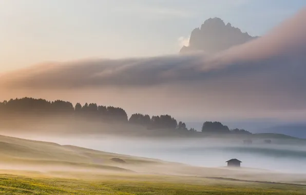 Картинка пейзаж, горы, туман, утро, Italy, Dolomites, Alpe di Siussi