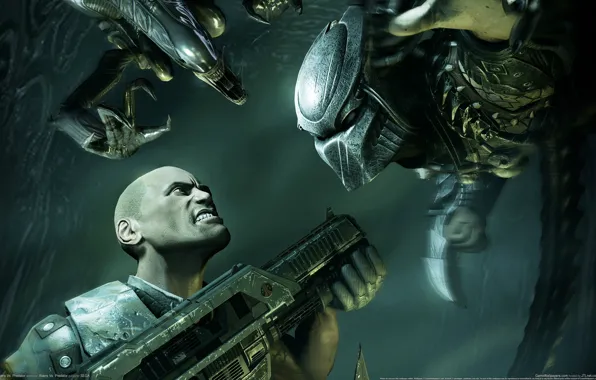 Картинка оружие, человек, хищник, чужой, автомат, aliens vs predator