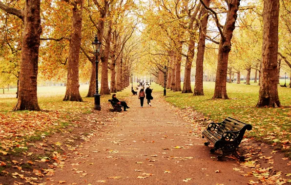 Картинка осень, листья, деревья, пейзаж, скамейка, природа, дети, люди