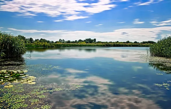 Картинка пейзаж, природа, озеро, Венгрия, Tisza
