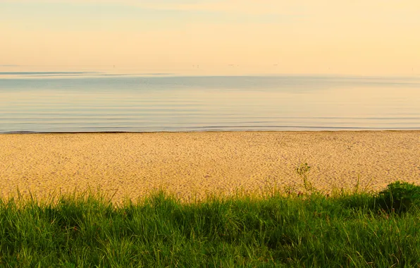 Grass, beach, sea, sand