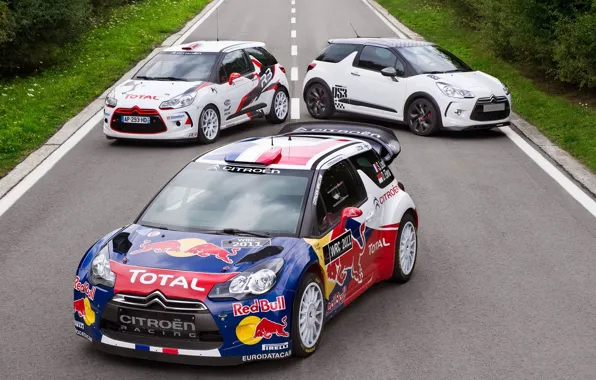 Дорога, спорт, Ситроен, Citroen, автомобиль, гонщик, ралли, WRC