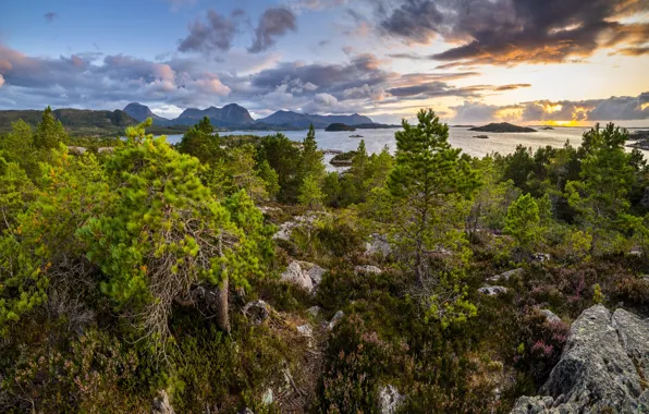 Картинка деревья, пейзаж, горы, природа, камни, океан, растительность, Норвегия