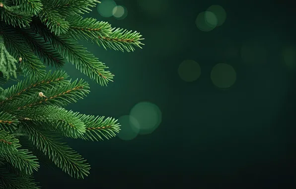 Ветки, ель, Рождество, Новый год, ёлка, хвоя, зеленый фон, хвойные
