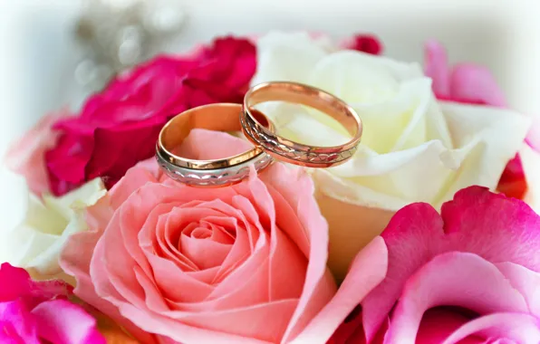 Картинка розы, букет, кольца, свадьба, торжество, брак