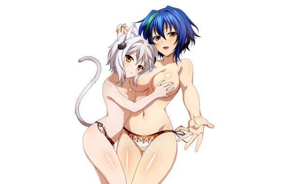 Sexy, lingerie, pantsu, panties, girls, boobs, animal ears, anime