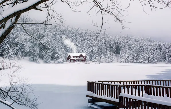 Картинка зима, лес, снег, дом, Турция, Turkey, Гёльджюк, Gölcük