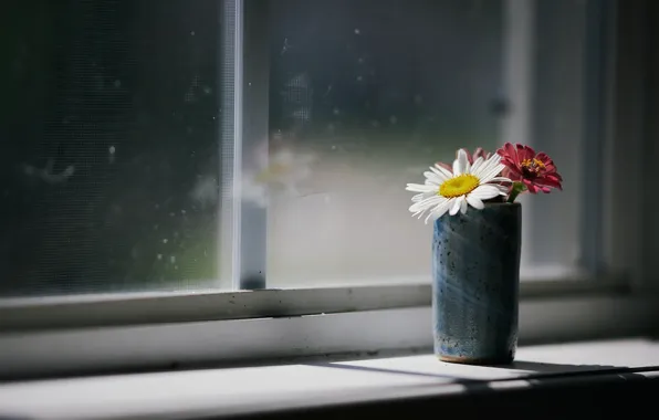 Цветы, дом, окно