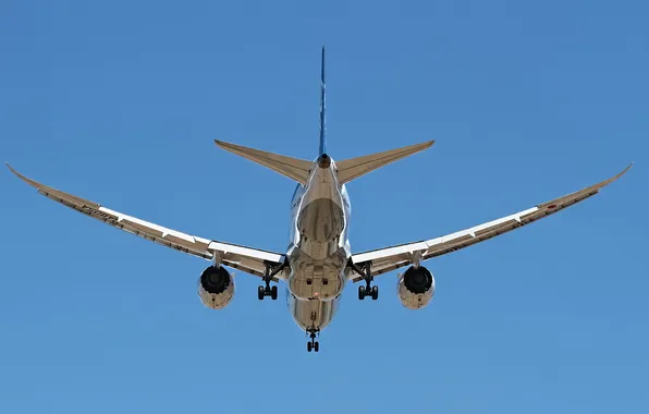 Картинка авиация, самолёт, ANA 787