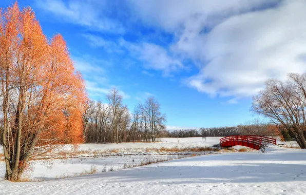 Картинка зима, снег, деревья, мост, парк