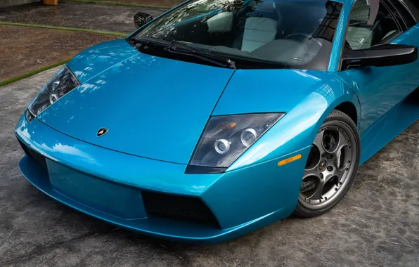 Lamborghini, Lamborghini Murcielago, Murcielago, close up